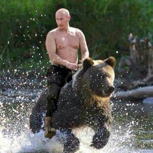 PutinBear.png