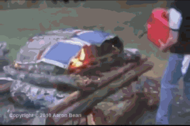 QuerulousTerribleGoldenretriever-size_restricted.gif