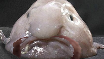 quinton blob.jpg