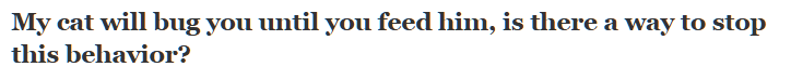 QuoraQuestions2.png