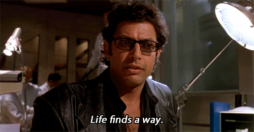 R.gif