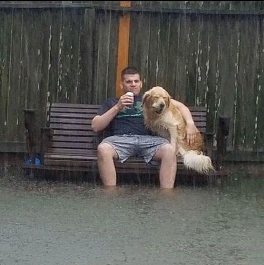 rain.jpeg