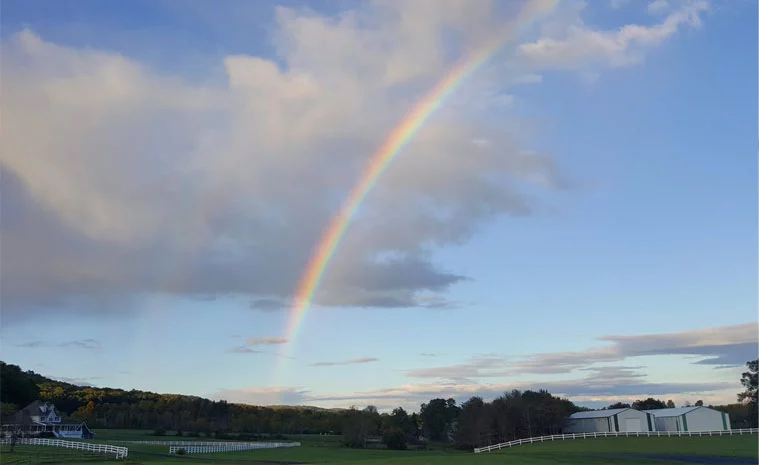 rainbow.webp