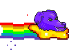 rainbowdogflashing.gif