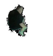 ralphflop.gif