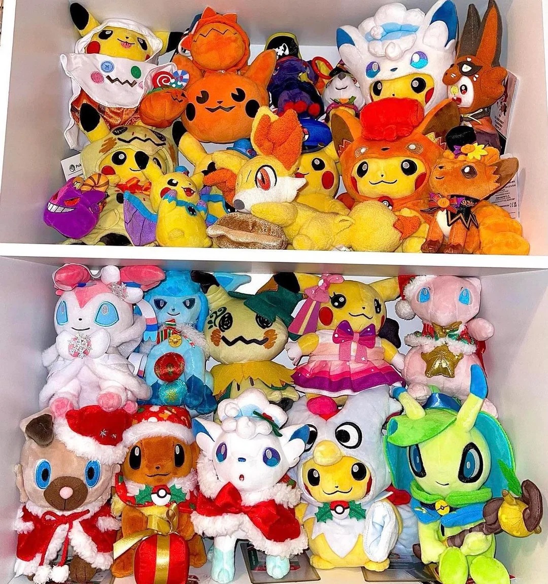 random-shelfies-v0-84pd2e6a3zec1.jpg