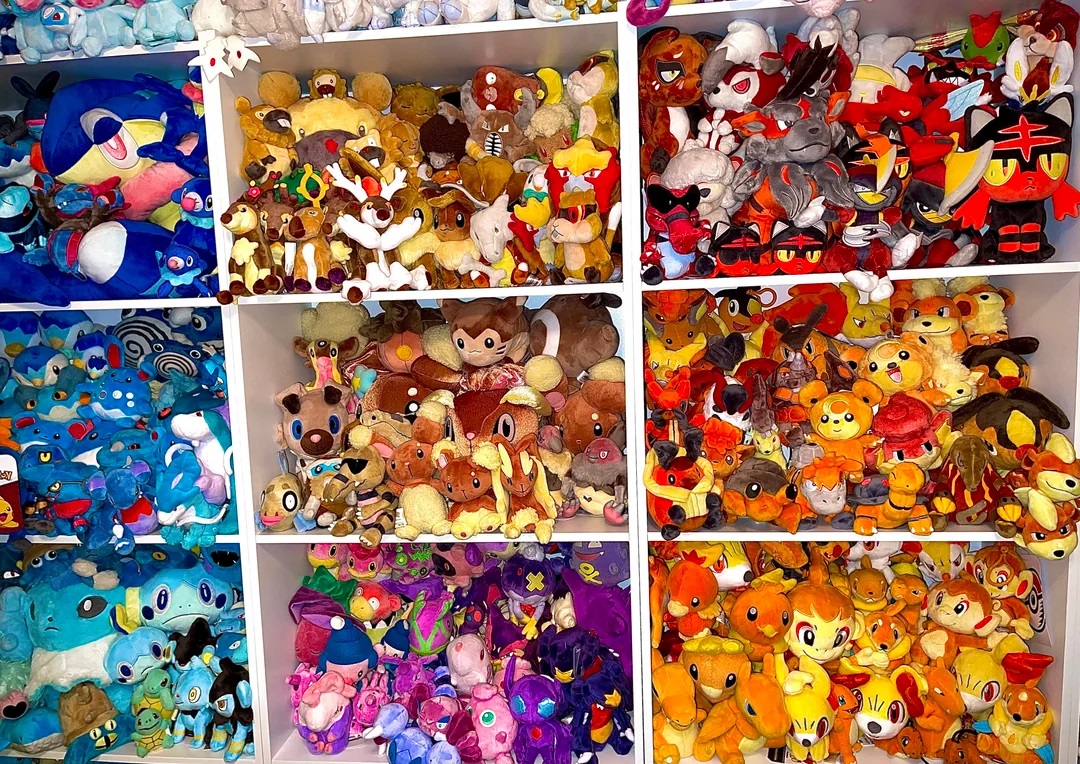 random-shelfies-v0-joe3re6a3zec1.jpg