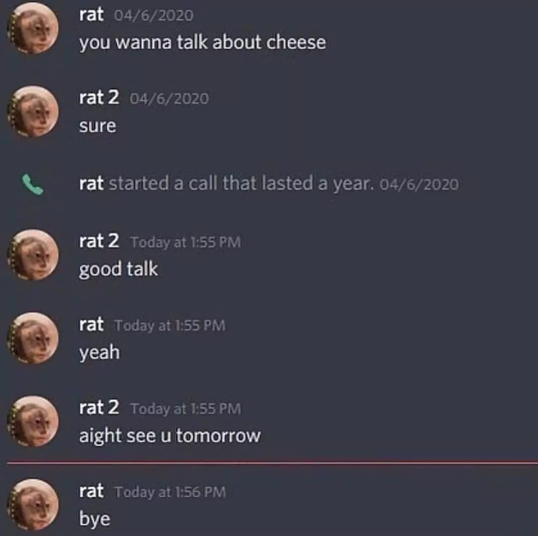 rat.webp