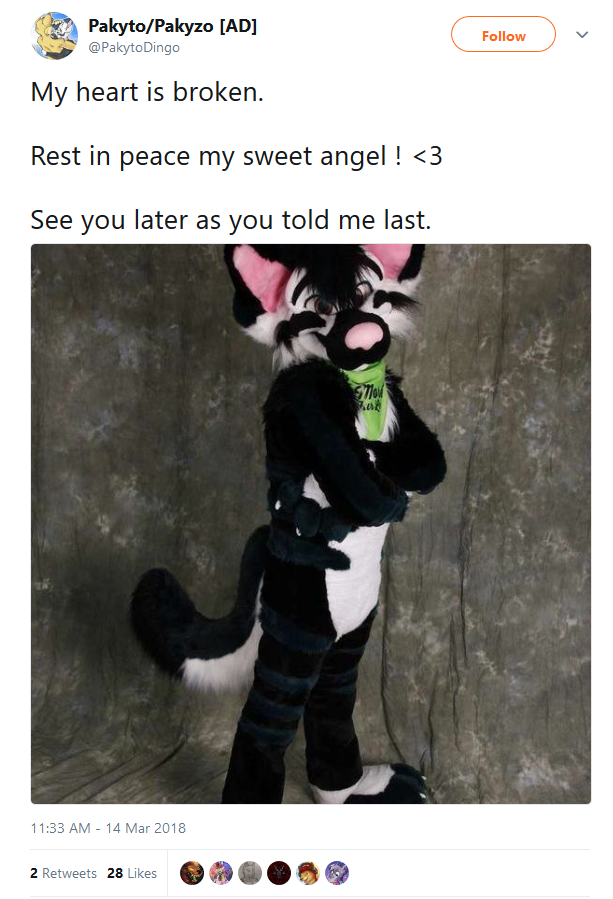 rcfox20.png