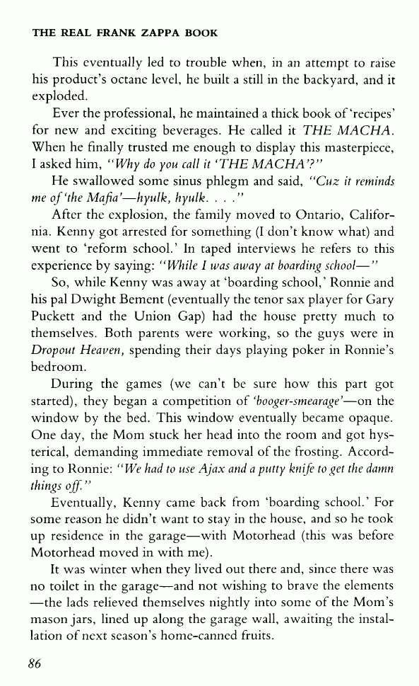 real_frank_zappa_book2.png