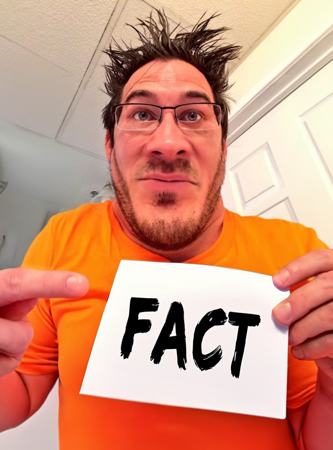 realplier fact.webp