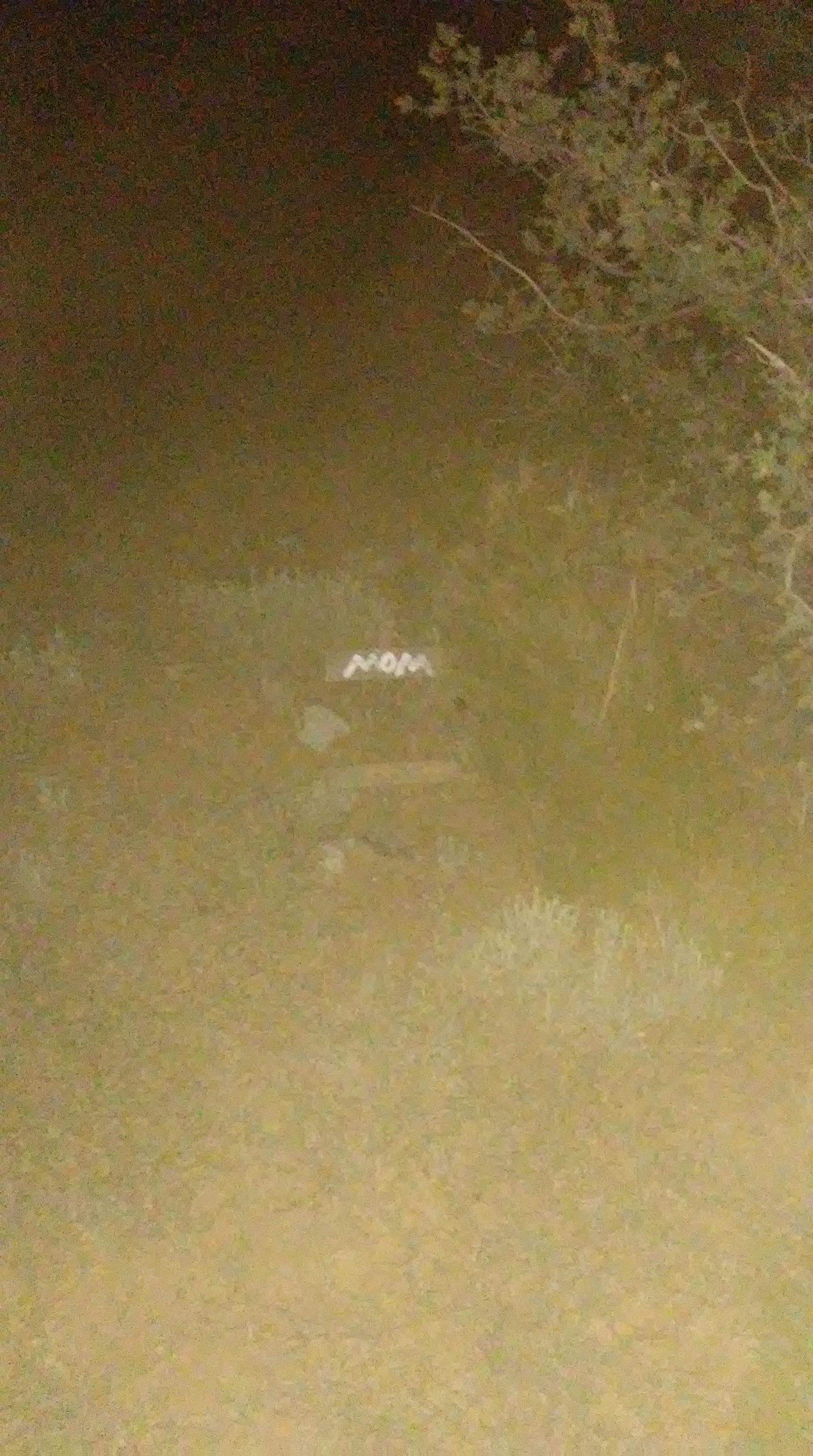 received_1810308065722909.jpeg