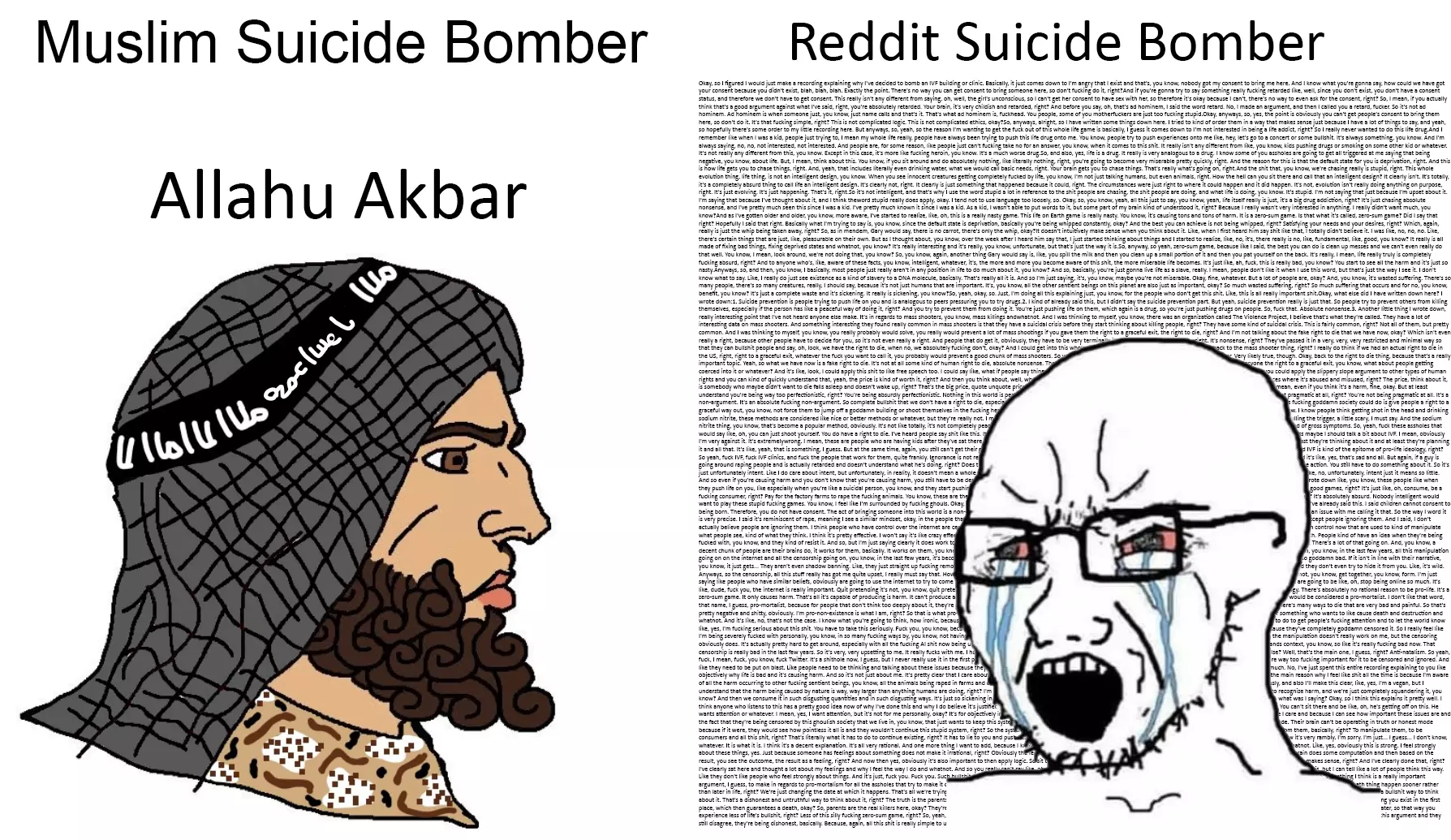 reddit.webp