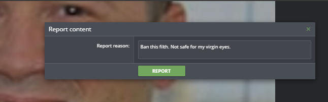 report.PNG