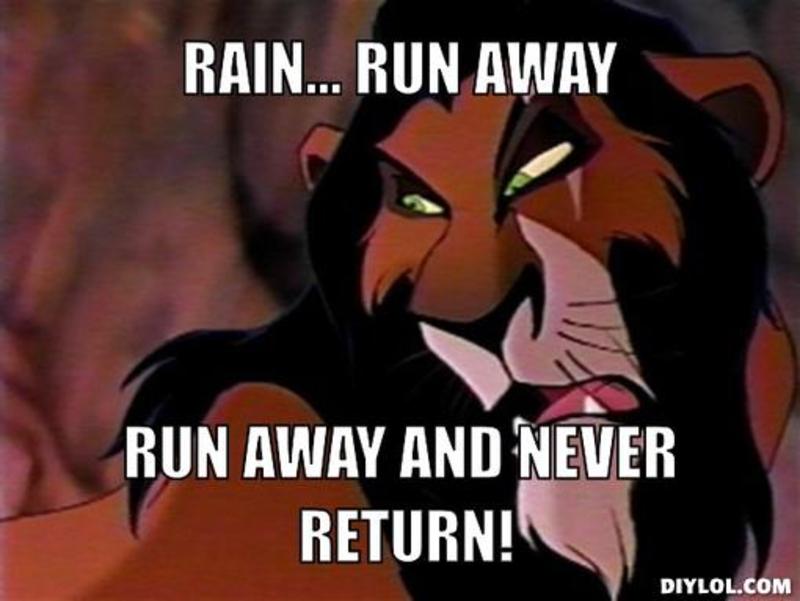 resized_scar-meme-generator-rain-run-away-run-away-and-never-return-96d400.jpg
