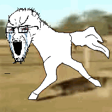 retarded running soyjak.gif