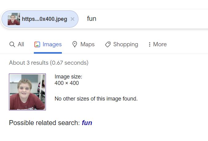 reverse image search.JPG