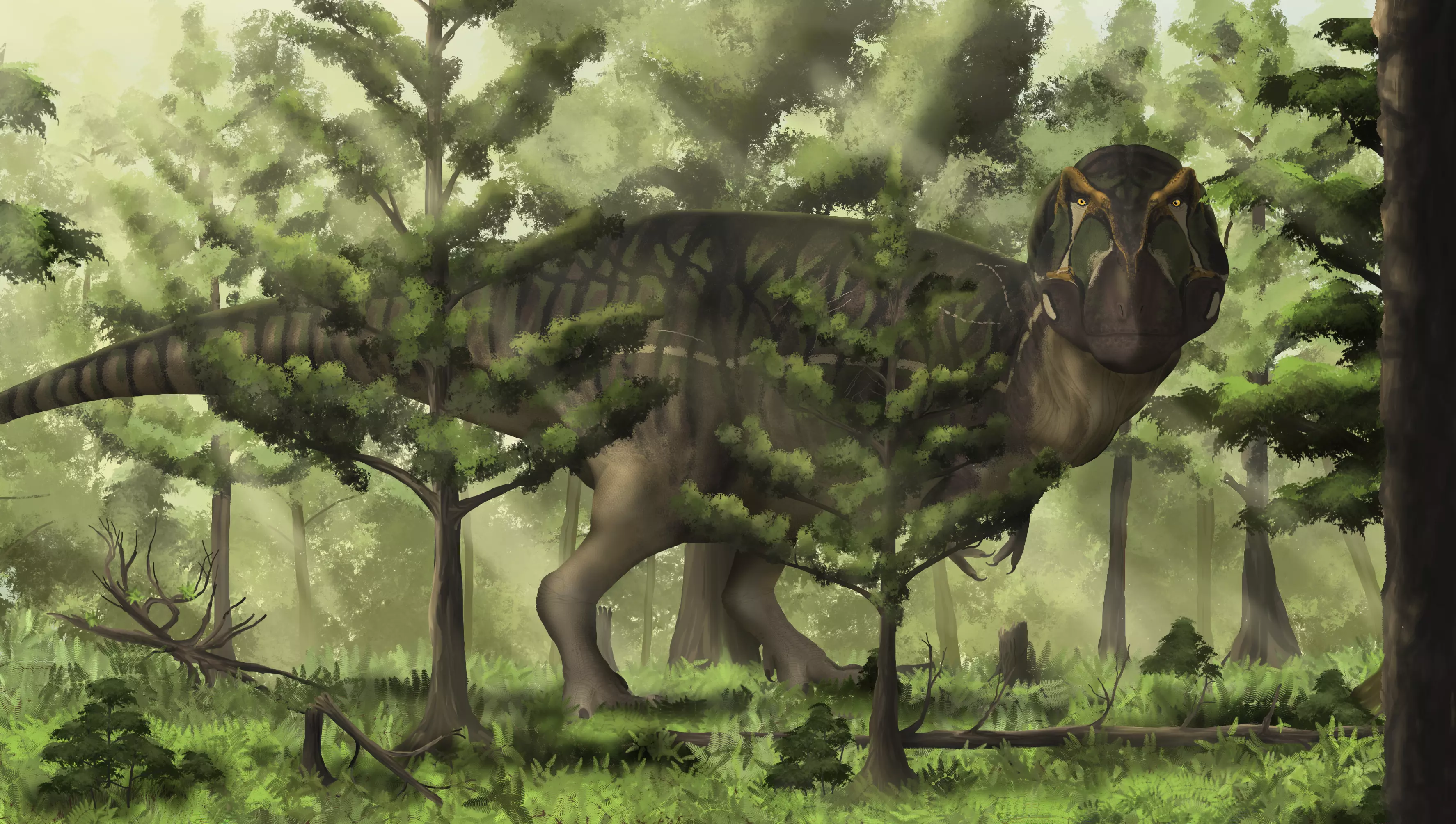 rex.webp