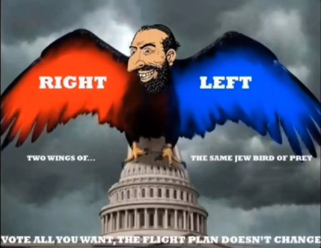 Right Wing and Left Wing 2 wings of the same bird.webp