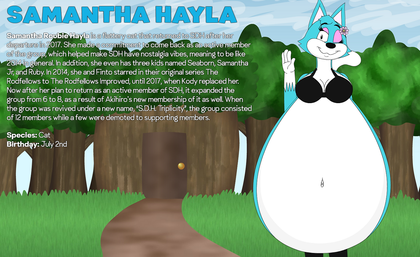 rodfellows wix website 8.PNG