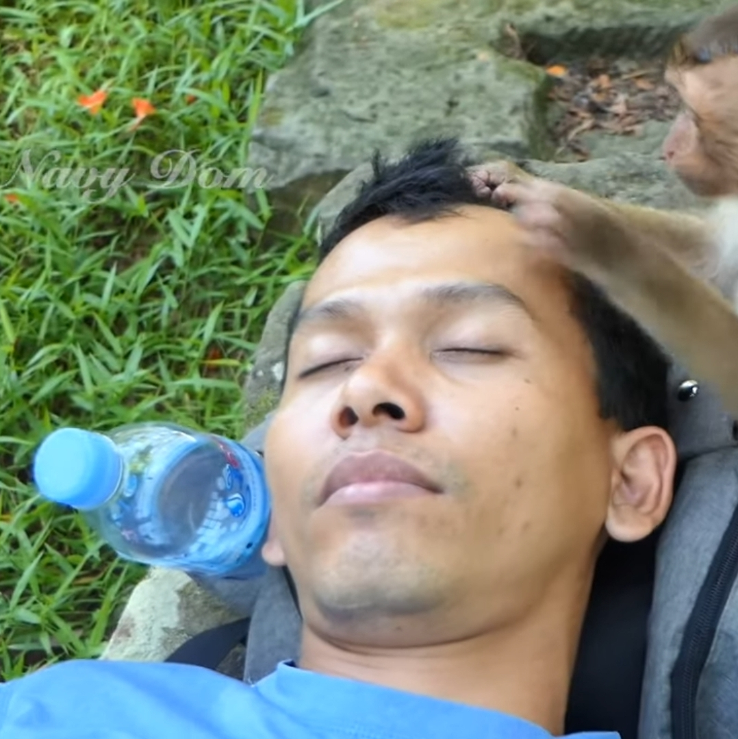 Ros Phearom.png