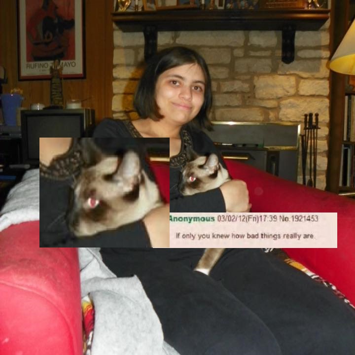 rrr poor cat.jpg