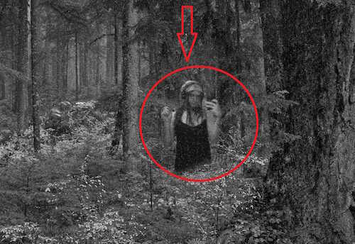 sasquatch.jpg