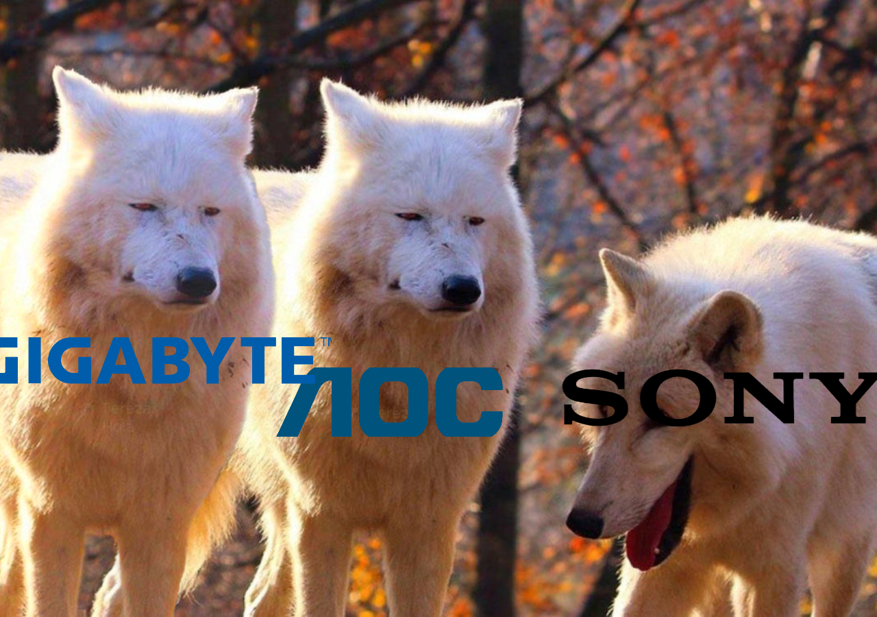 sbzolk3d49951.jpeg