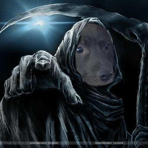 SCARTY.png