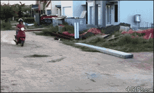 scooter.gif