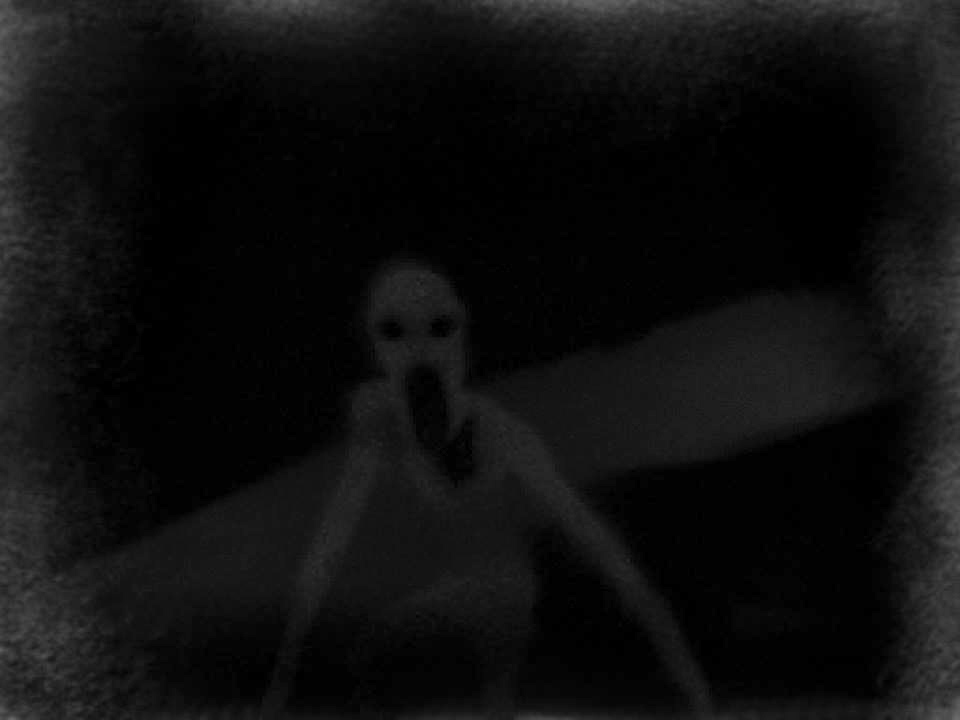 scp.jpg