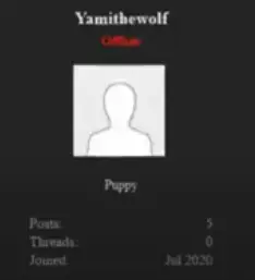 Screen Shot 2025-06-22 at 12.36.12 AM.webp