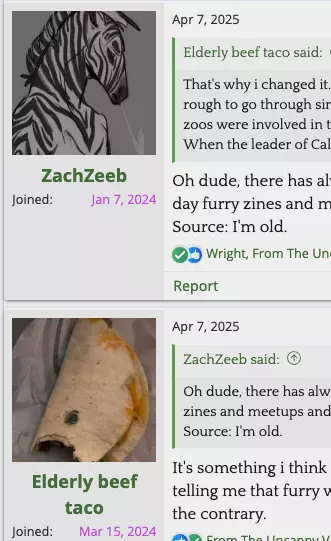 Screen Shot 2025-06-30 at 4.17.20 AM.webp