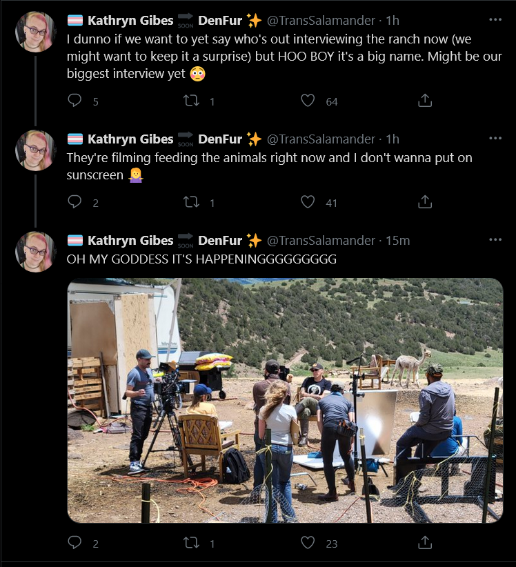 Screenshot 2021-06-30 at 21-00-41 Tweets with replies by 🏳️‍⚧️ Kathryn Gibes 🔜 DenFur ✨ ( Tran...png