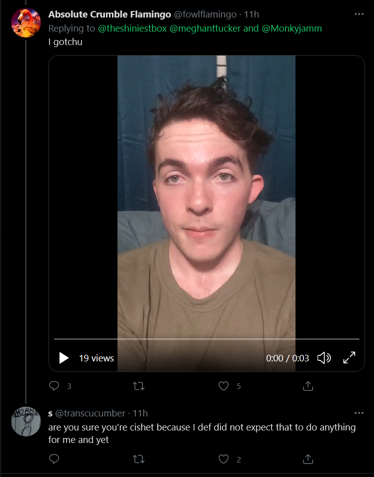 Screenshot 2021-07-21 at 17-28-31 Tweets with replies by s ( transcucumber) Twitter.png