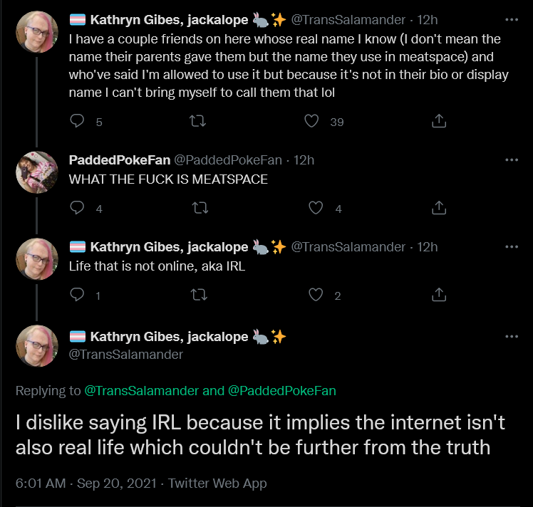 Screenshot 2021-09-20 at 18-04-46 🏳️‍⚧️ Kathryn Gibes, jackalope 🐇✨ on Twitter.png