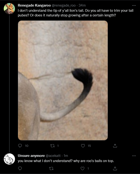 Screenshot 2022-05-08 at 19-36-04 Tweets with replies by Unsure anymore (@acekatt) _ Twitter.png