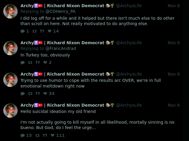 Screenshot 2024-11-07 at 18-34-31 Archy✝️🇹🇷 Richard Nixon Democrat 🥥🌴 (@ArchysLife) nitter.poa...png