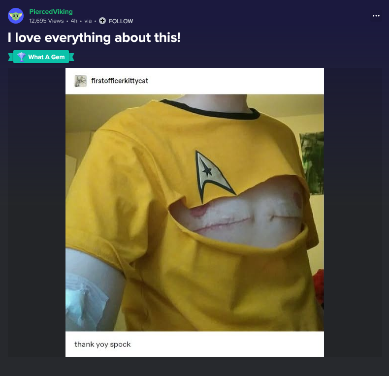 Screenshot 2025-05-03 at 16-14-33 I love everything about this! - Imgur.webp