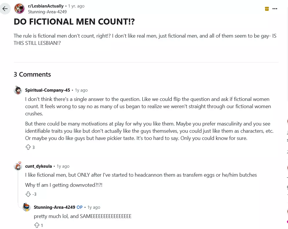 Screenshot 2025-05-10 at 02-40-23 DO FICTIONAL MEN COUNT! r_LesbianActually.webp