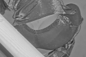 Screenshot_1013.jpg