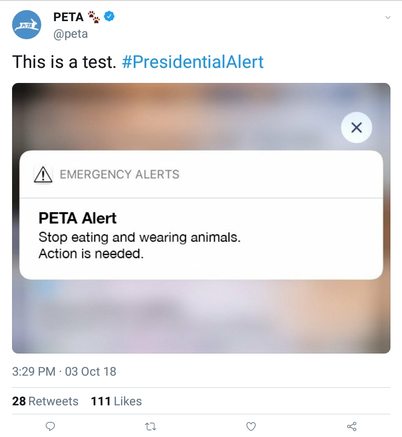 Screenshot_2018-10-03-15-39-36-905.jpeg