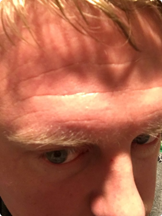 Screenshot_2019-08-26 Hecht on Twitter Hello https t co Qo124bWc2G Twitter.png