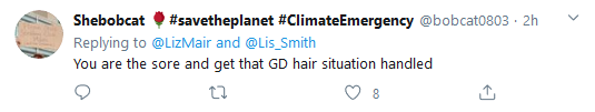 Screenshot_2020-04-03 Liz Mair on Twitter Lis_Smith This guy is such a sore loser and such a c...png