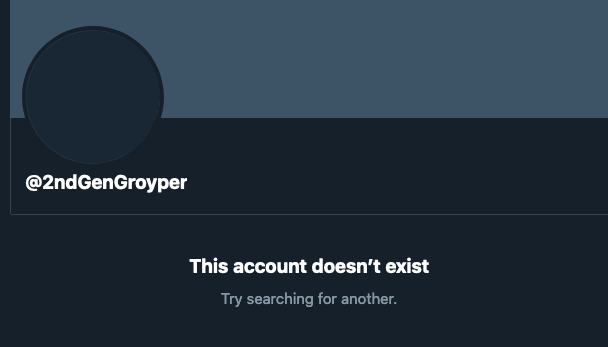 Screenshot_2020-12-19 undefined ( 2ndGenGroyper) on Twitter.png