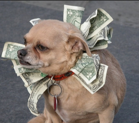 Screenshot_20200214-160602_Firefox.webp