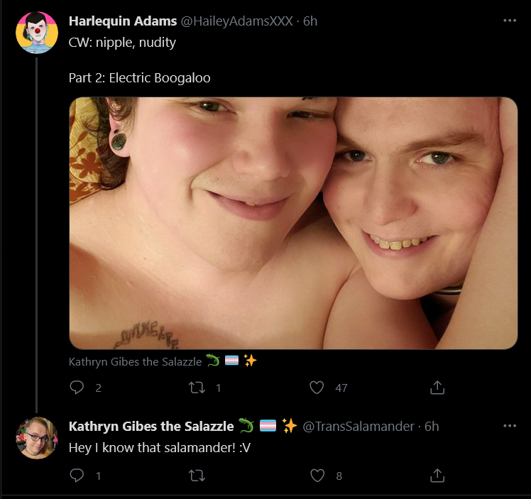 Screenshot_2021-04-16 Tweets with replies by Kathryn Gibes the Salazzle 🦎 🏳️‍⚧️ ✨ ( TransSalam...png