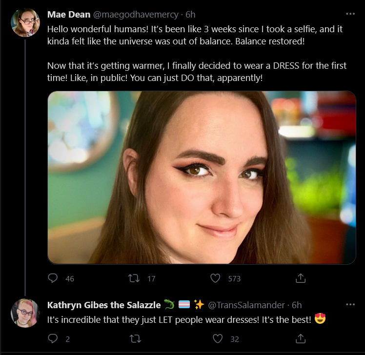 Screenshot_2021-04-20 Tweets with replies by Kathryn Gibes the Salazzle 🦎 🏳️‍⚧️ ✨ ( TransSalam...png