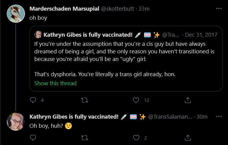 Screenshot_2021-05-18 Tweets with replies by Kathryn Gibes is fully vaccinated 💉 🏳️‍⚧️ ✨ ( Tra...png