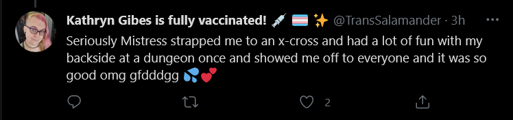 Screenshot_2021-05-18 Tweets with replies by Kathryn Gibes is fully vaccinated 💉 🏳️‍⚧️ ✨ ( Tra...png